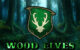 Elfi Silvani i protettori della foresta di Athel Loren